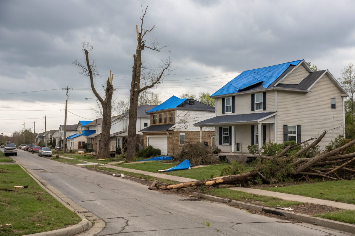 Blue tarps over damaged roofs and snapped trees along a suburban street after a tornado